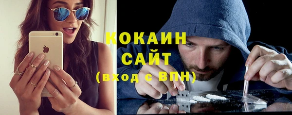 сатива Алзамай