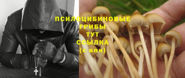2c-b Абинск