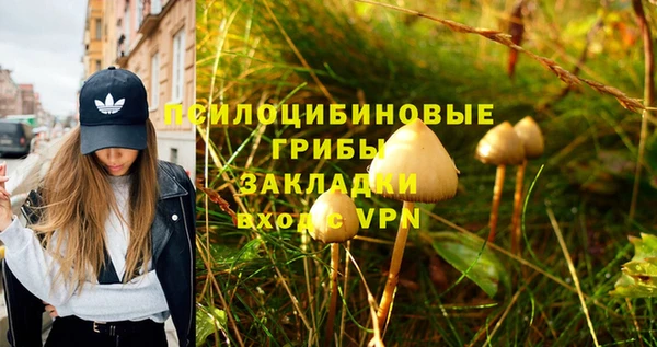 сатива Алзамай