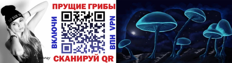 Псилоцибиновые грибы прущие грибы  Сорочинск 